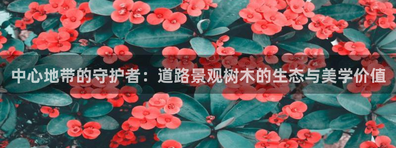 新宝gg真的能赚钱么