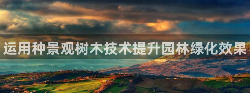 谁有新宝GG