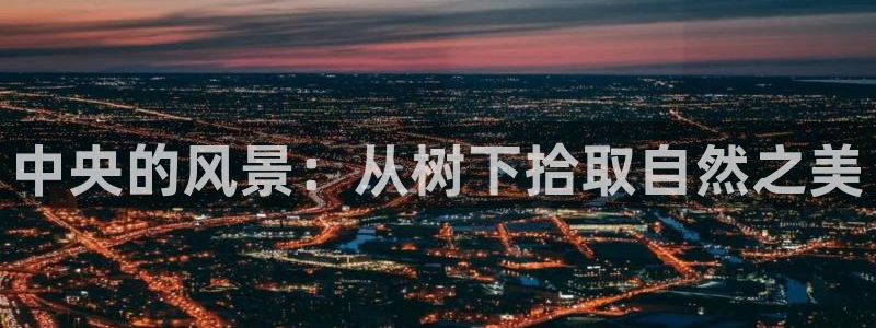 新宝gg手机app
