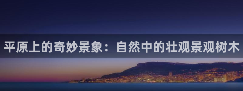 新宝gg如何注册