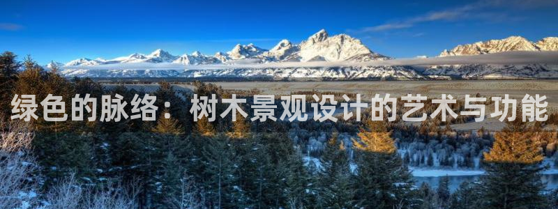 新宝gg登录地址