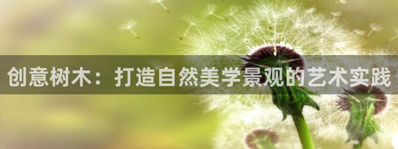 新宝gg提点
