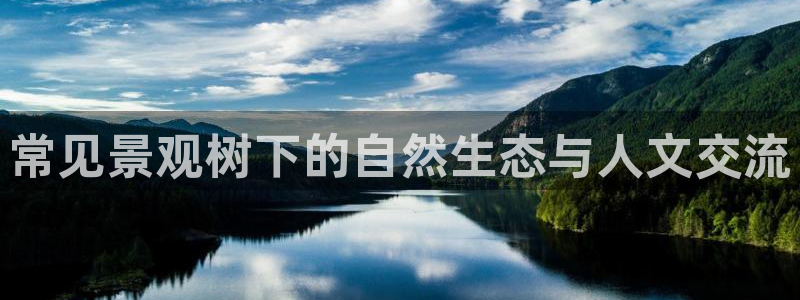 新宝gg合作