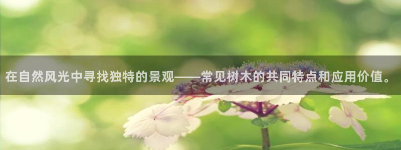 新宝gg如何做到总代理
