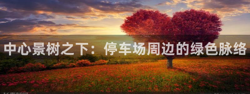 新宝gg创造奇迹登陆