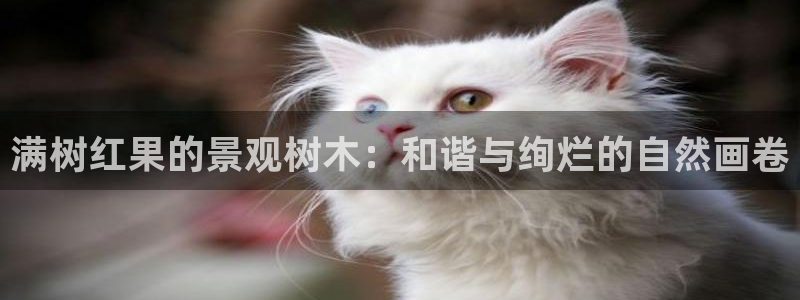 新gg官网_新宝GG创造奇迹