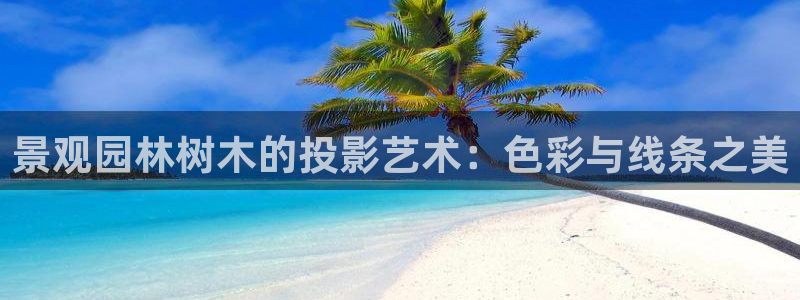 新宝gg游戏平台