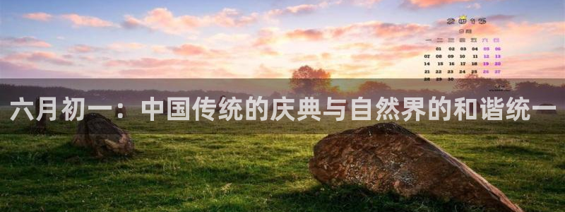 怎么代理新宝gg