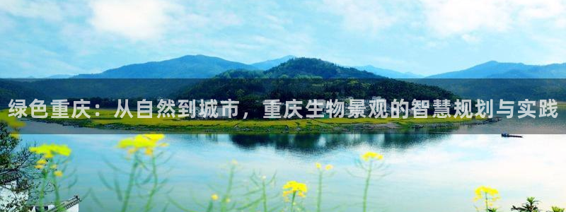 新宝gg用哪个浏览器