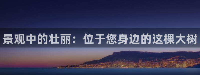 新宝gg创造奇迹登陆