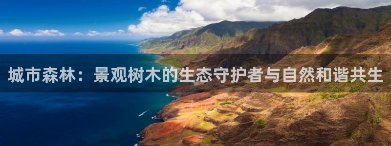 新宝gg官方下载