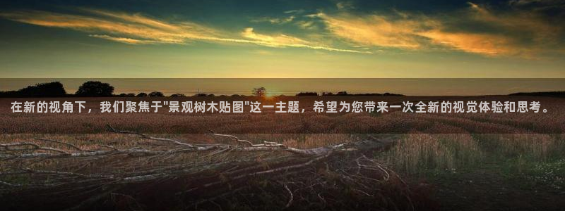 新宝gg最新章节