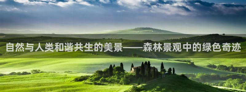 新宝gg如何赚钱