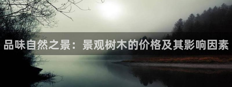 新宝gg手机登录：品味自然之景：景观树木的价格及其影响因素