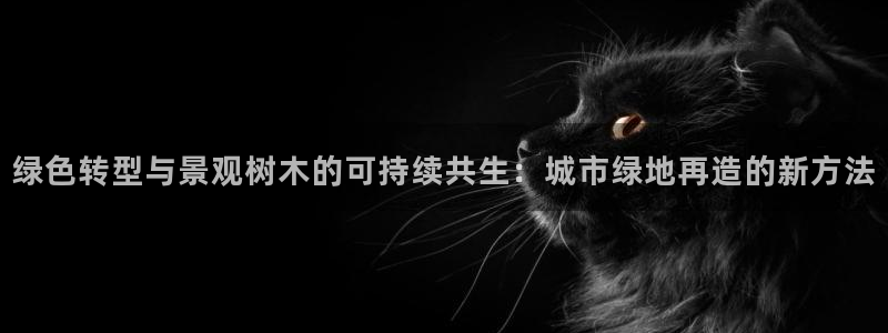 新宝_GG奇迹