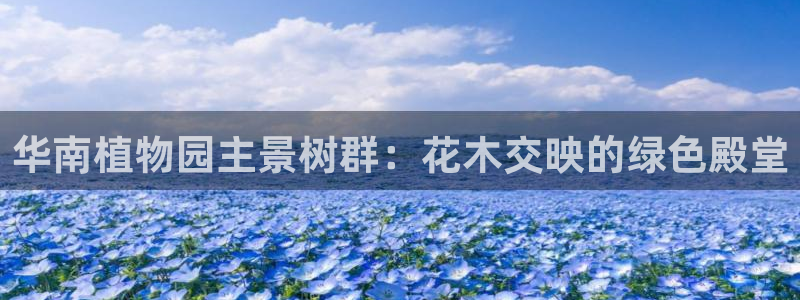 新宝gg手机版下载