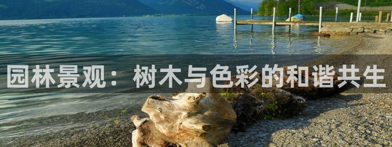 新宝gg如何赚钱