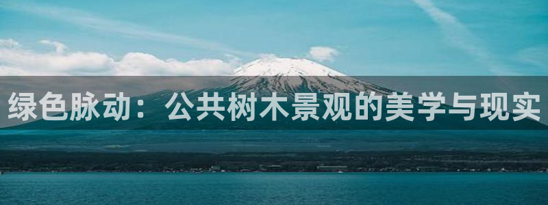 新宝gg有规律么