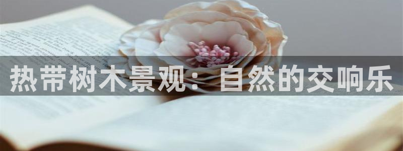 新宝gg-创业奇迹