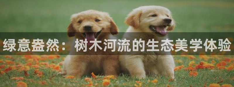 新宝GG股东