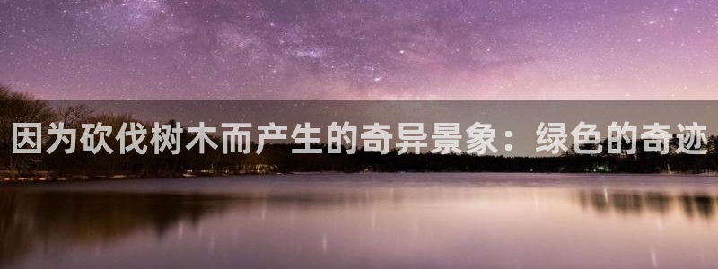 新宝gg招商-299136