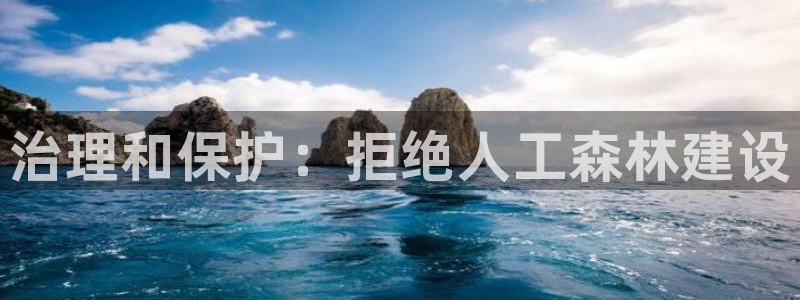 新宝一GG：治理和保护：拒绝人工森林建设