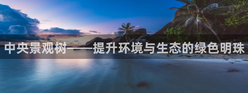 新宝gg 内部 8