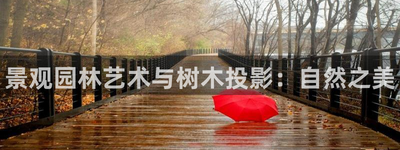 新宝gg怎么开户