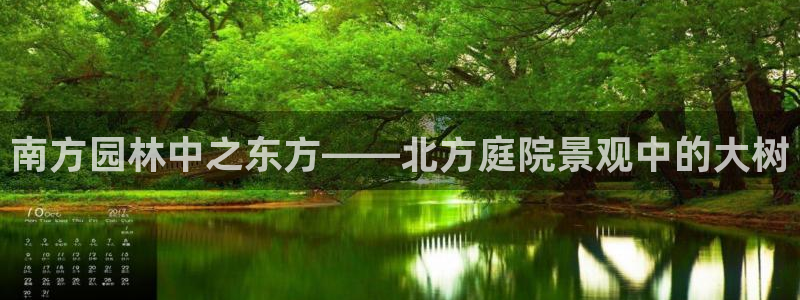 新宝gg平台怎么样