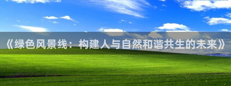 新宝gg工资