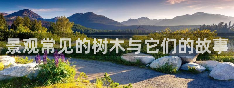 正版新宝gg：景观常见的树木与它们的故事