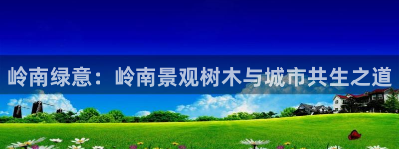 手机新宝gg