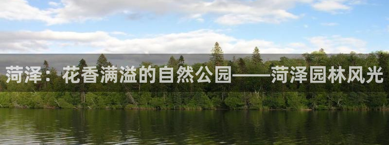 新宝gg是新宝几