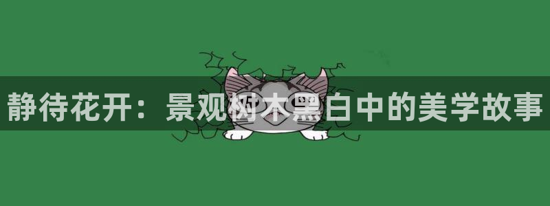 新宝gg最：静待花开：景观树木黑白中的美学故事
