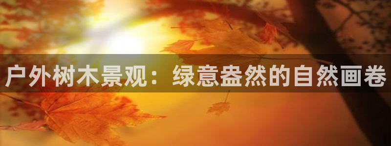 新宝GG桌面：户外树木景观：绿意盎然的自然画卷