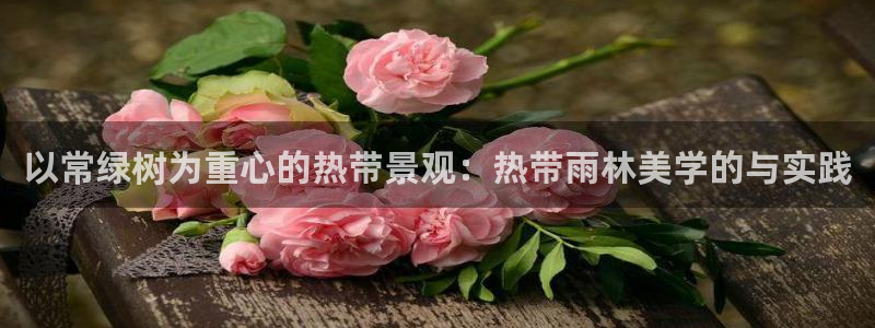新宝gg试玩