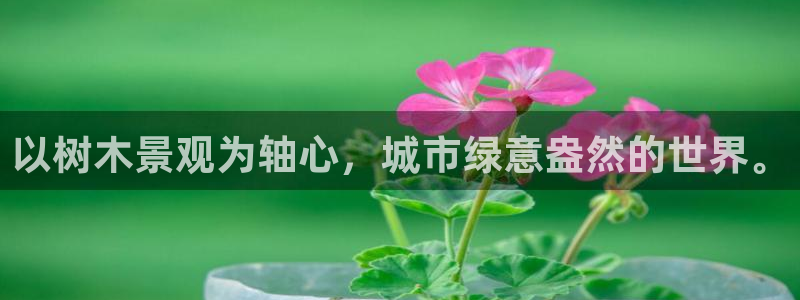 新宝gg论坛：以树木景观为轴心，城市绿意盎然的世界。
