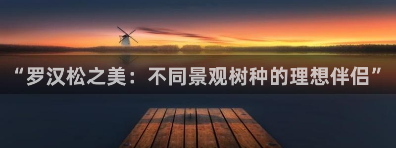 新宝新宝gg开户流程