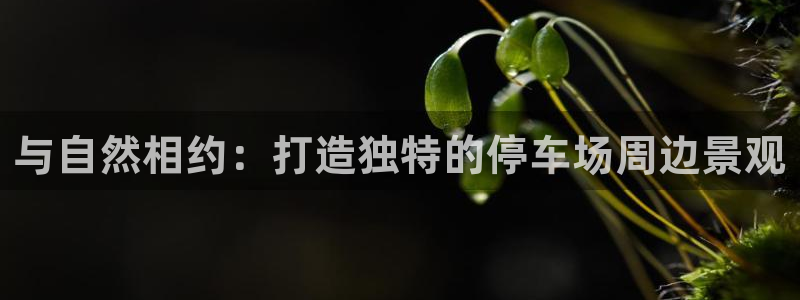 新宝给gg：与自然相约：打造独特的停车场周边景观