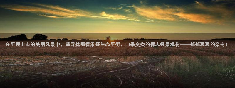 新宝gg招商：在平顶山市的美丽风景中，请寻找那棵象征生态平衡、四季变换的标志性景观树——郁郁葱葱的栾