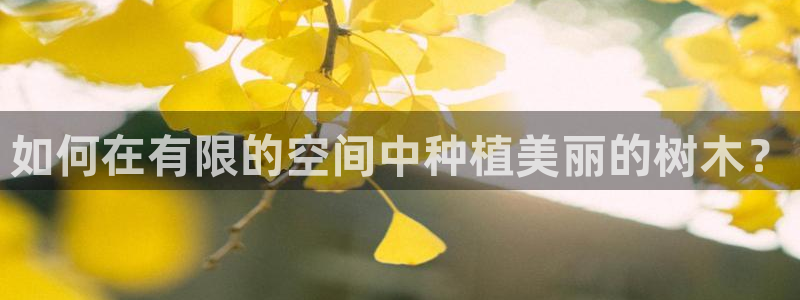 新宝gg创造奇迹平台