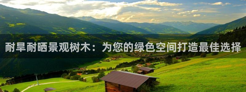 创造奇迹新宝gg