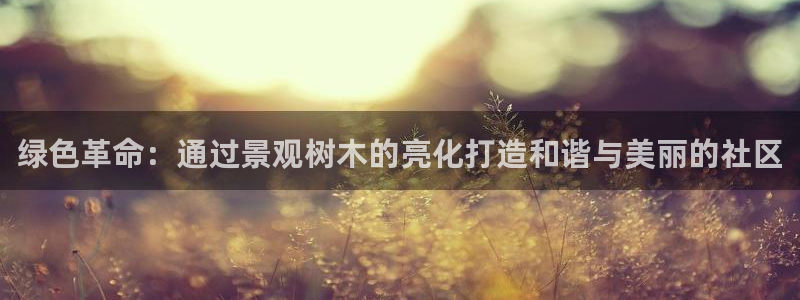 新宝gg在哪开户