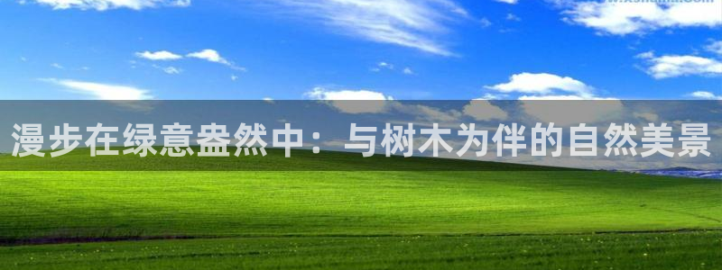 新宝gg怎么做代理：漫步在绿意盎然中：与树木为伴的自然美景