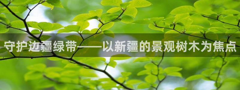 新宝gg-创业奇迹