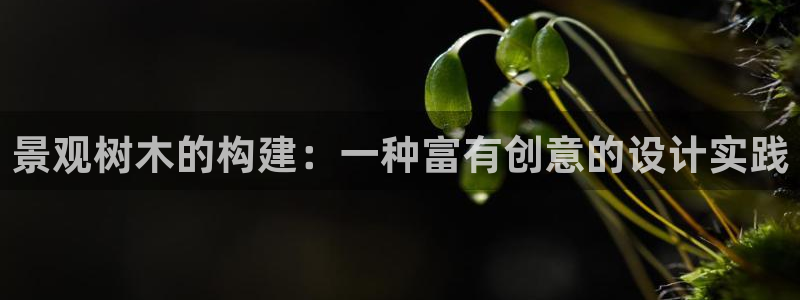 新宝gg返点模式