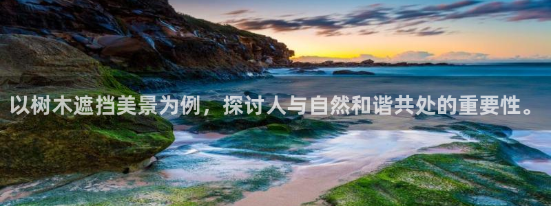 新宝gg娱乐上皇巢网