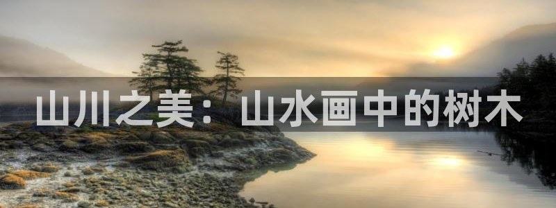 新宝GG创造奇