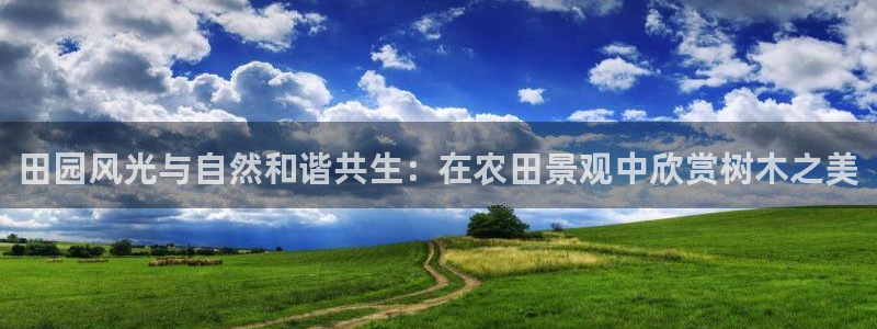 新宝gg龙虎