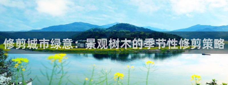新宝gg创造奇迹登陆